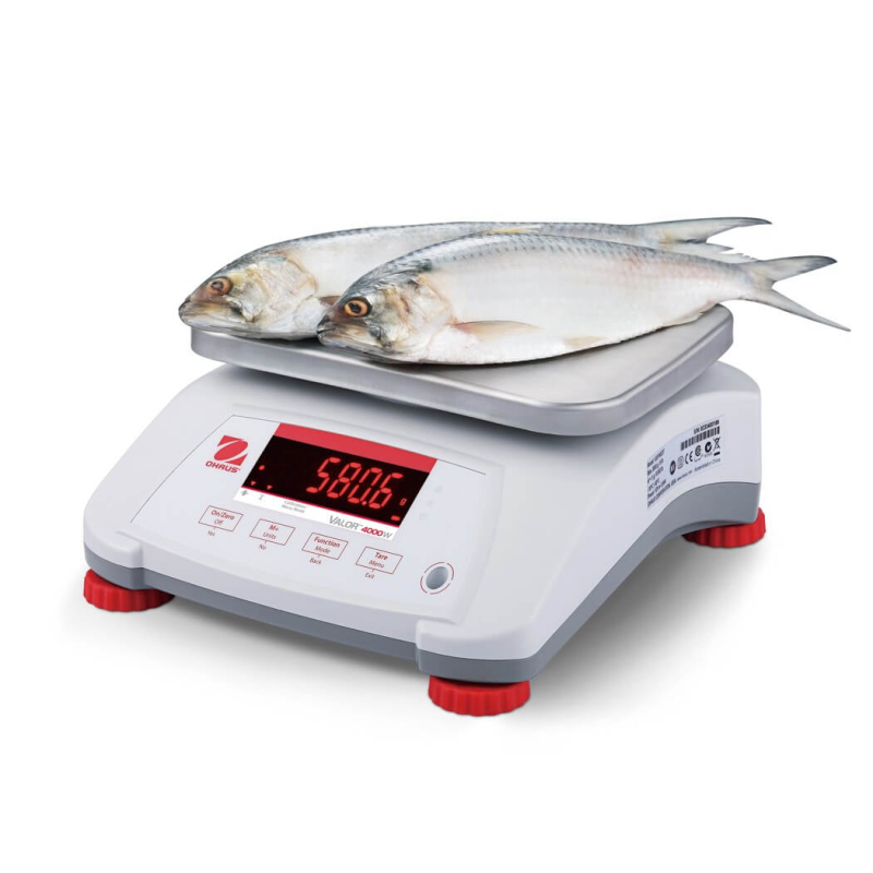 Valor 4000 ABS weegschaal - Ohaus