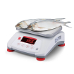 Valor 4000 ABS weegschaal - Ohaus