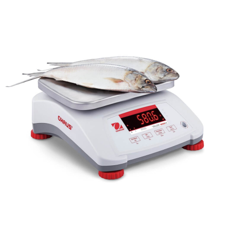 Valor 4000 ABS weegschaal - Ohaus