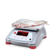 Balance Valor 4000 Inox - Ohaus