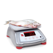 Balance Valor 4000 Inox - Ohaus
