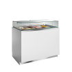 Cong&eacute;lateur de cr&egrave;me glac&eacute;e DELTA NEW - TEFCOLD - 69940