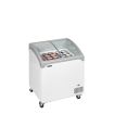 Cong&eacute;lateur de cr&egrave;me glac&eacute;e NIC202SCEB - TEFCOLD - 70984