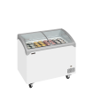 Cong&eacute;lateur de cr&egrave;me glac&eacute;e NIC302SCEB - TEFCOLD - 70988