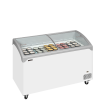 Cong&eacute;lateur de cr&egrave;me glac&eacute;e NIC402SCEB - TEFCOLD - 70992