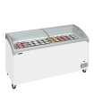 Cong&eacute;lateur de cr&egrave;me glac&eacute;e NIC502SCEB - TEFCOLD - 70996