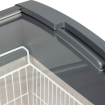Cong&eacute;lateur de cr&egrave;me glac&eacute;e Focus 106 - TEFCOLD - 71147