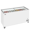 Cong&eacute;lateur de cr&egrave;me glac&eacute;e IC502SC - TEFCOLD - 71452