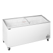 Cong&eacute;lateur de cr&egrave;me glac&eacute;e IC552SCEB - TEFCOLD - 71618