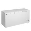 Cong&eacute;lateur de cr&egrave;me glac&eacute;e FR606 SL - TEFCOLD - 72450