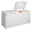 Cong&eacute;lateur de cr&egrave;me glac&eacute;e FR606 SL - TEFCOLD - 72450