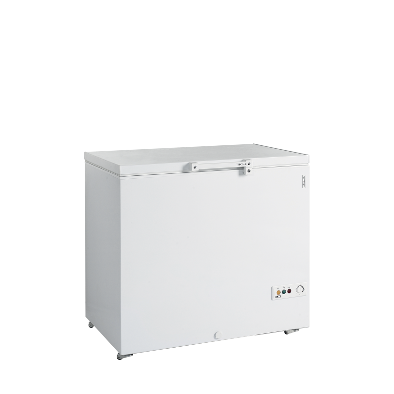 Cong&eacute;lateur de cr&egrave;me glac&eacute;e FR305 SL - TEFCOLD - 16169