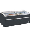 Cong&eacute;lateur de supermarch&eacute; gris TWIN 220A-F - TEFCOLD - 17331