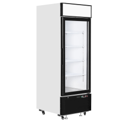 Cong&eacute;lateurs verticaux de vitrine LGF2500 - TEFCOLD - 54984
