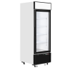 Cong&eacute;lateurs verticaux de vitrine LGF2500 - TEFCOLD - 54984