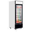 Cong&eacute;lateurs verticaux de vitrine LGF2500 - TEFCOLD - 54984