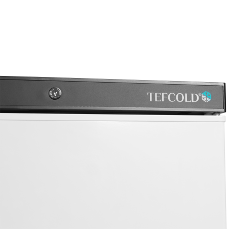 Cong&eacute;lateurs de stockage UF200V - TEFCOLD - 33861