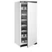 Cong&eacute;lateurs de stockage GN2/2 UF600 - TEFCOLD - 32313