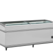 R&eacute;frig&eacute;rateur / cong&eacute;lateur de supermarch&eacute; SFI185 HC-CF VS - TEFCOLD - 41066