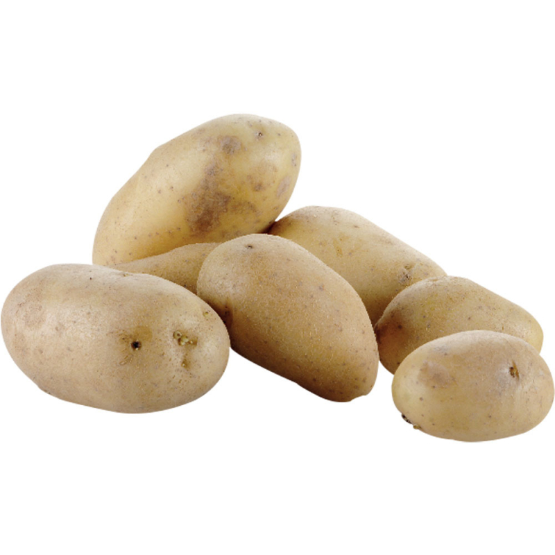 Eplucheuse pommes de terre sur pied (18 kg) - Diamond - PPF-18