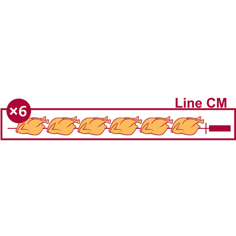 R&ocirc;tissoire gaz 6 broches (36 poulets) - Diamond - RVG/6-CM