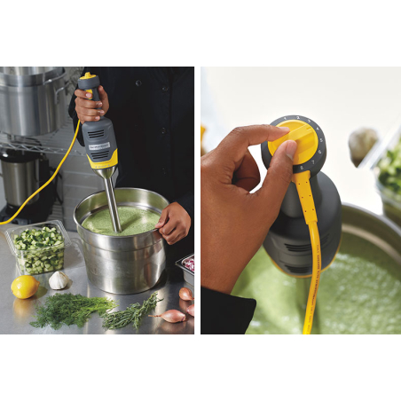 Immersion blender 230mm - BigRig Compact - Linum - HBR-0009-000