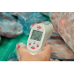Thermom&egrave;tre infrarouge avec sonde &agrave; thermocouple - Linum - COO-0412-000