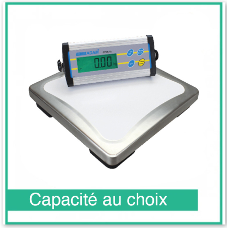 Balance plateforme adam CPWplus