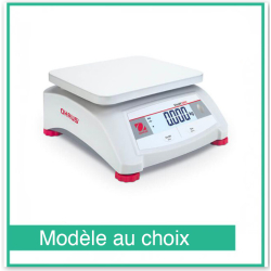 Valor 1000 Compact Precisie Weegschaal - Ohaus