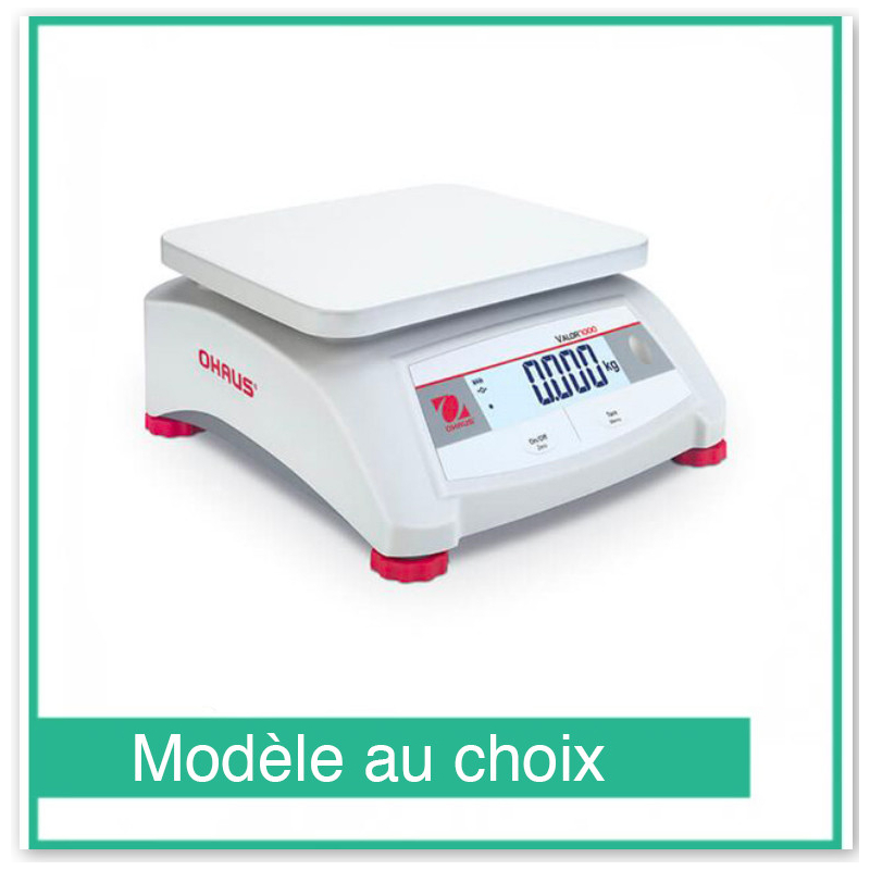 Valor 1000 Compact Precisie Weegschaal - Ohaus
