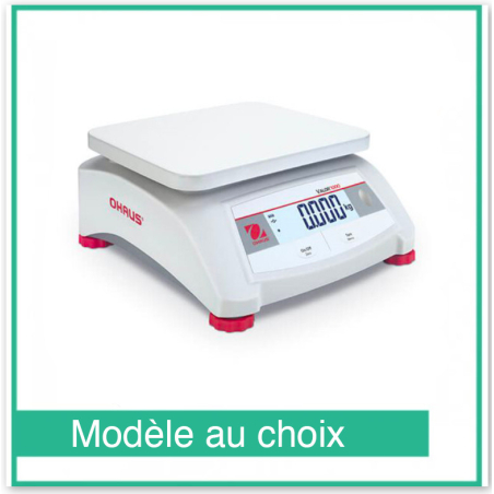 Valor 1000 Compact Precisie Weegschaal - Ohaus