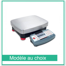 Ranger 7000 Compacte Precisie Weegschaal - Ohaus