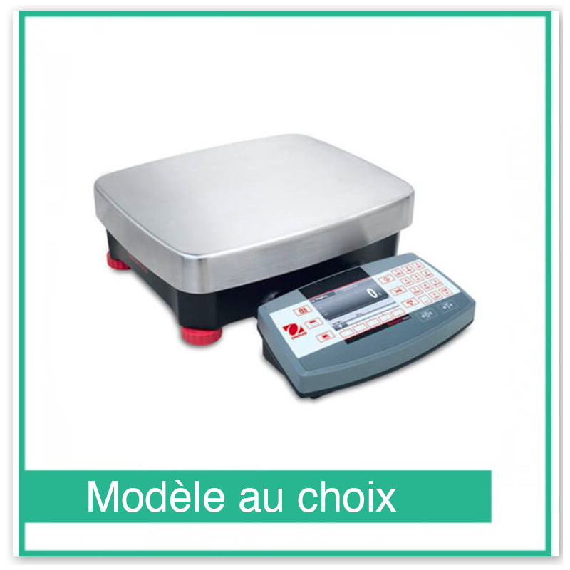 Ranger 7000 Compacte Precisie Weegschaal - Ohaus