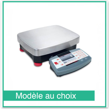 Balance de pr&eacute;cision compacte Ranger 7000 - Ohaus
