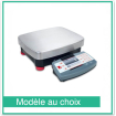 Ranger 7000 Compacte Precisie Weegschaal - Ohaus