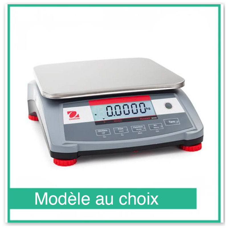 Balance de pr&eacute;cision compact Ranger 3000 - Ohaus