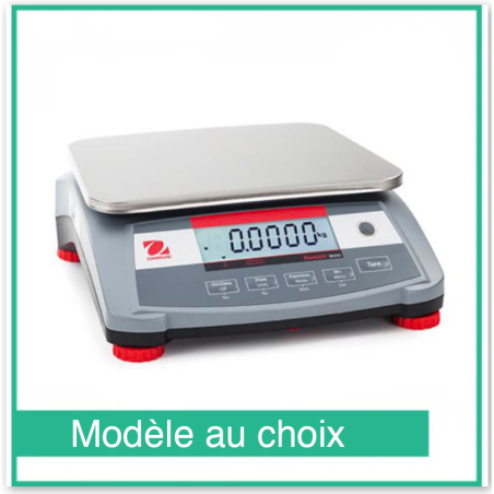 Balance de pr&eacute;cision compact Ranger 3000 - Ohaus