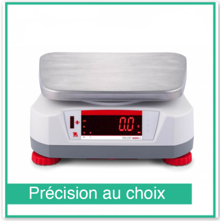 Valor 4000 ABS weegschaal - Ohaus