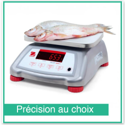 Balance Valor 4000 Inox - Ohaus
