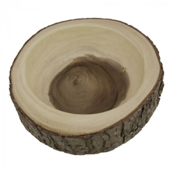 plateau d'&eacute;talage &Oslash;19