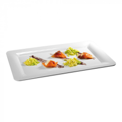 plat d'&eacute;talage GN1/1 EMGA...