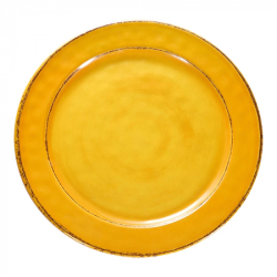 plaat &Oslash;28,0cm EMGA - 060181