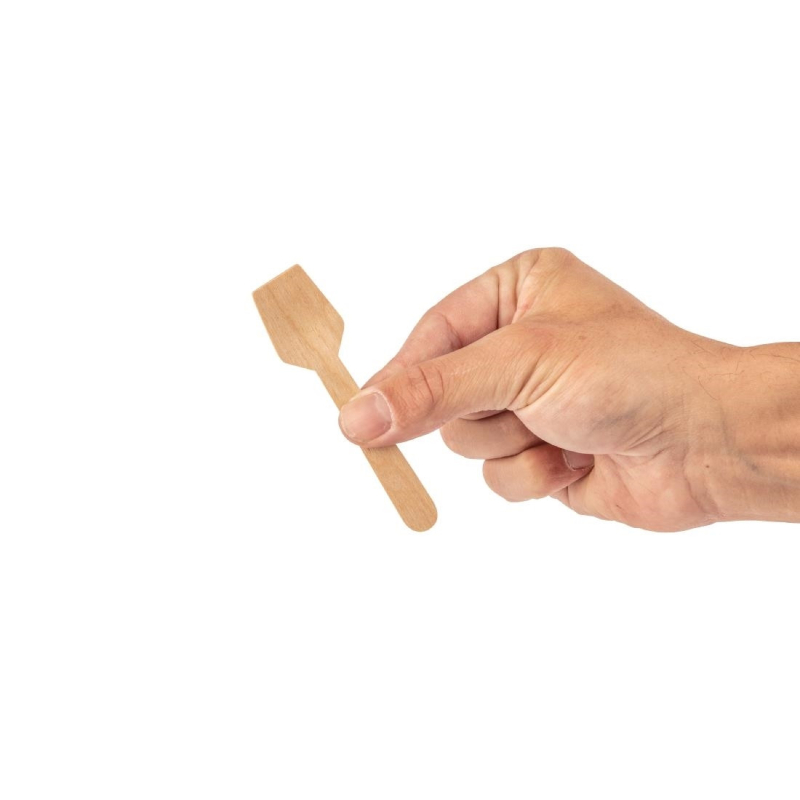 Cuill&egrave;res &agrave; Glace en Bois 96mm Biod&eacute;gradables - DK399 - Fiesta