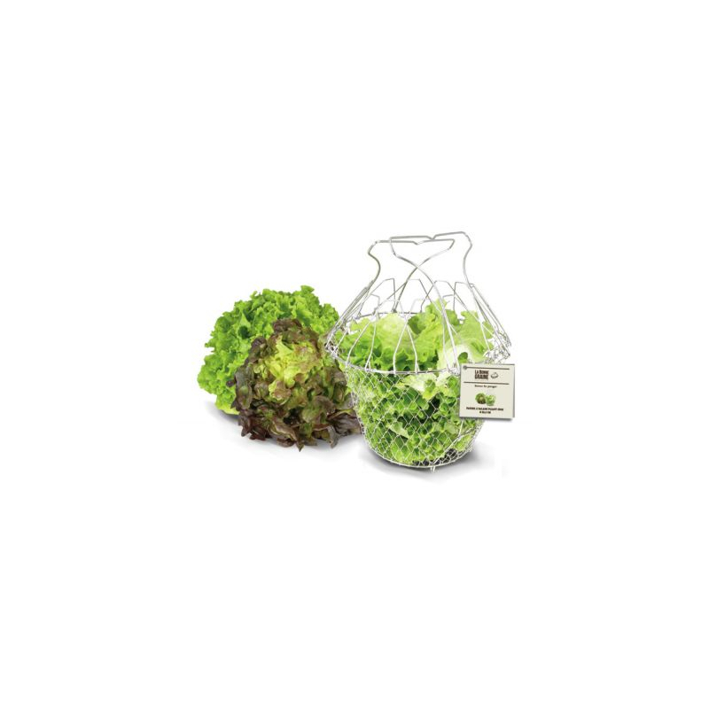 Salade mand, La Bonne Graine - Louis Tellier - NC035