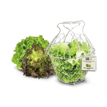 Salade mand, La Bonne Graine - Louis Tellier - NC035