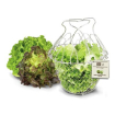 Salade mand, La Bonne Graine - Louis Tellier - NC035