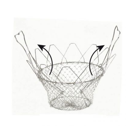 Salade mand, La Bonne Graine - Louis Tellier - NC035