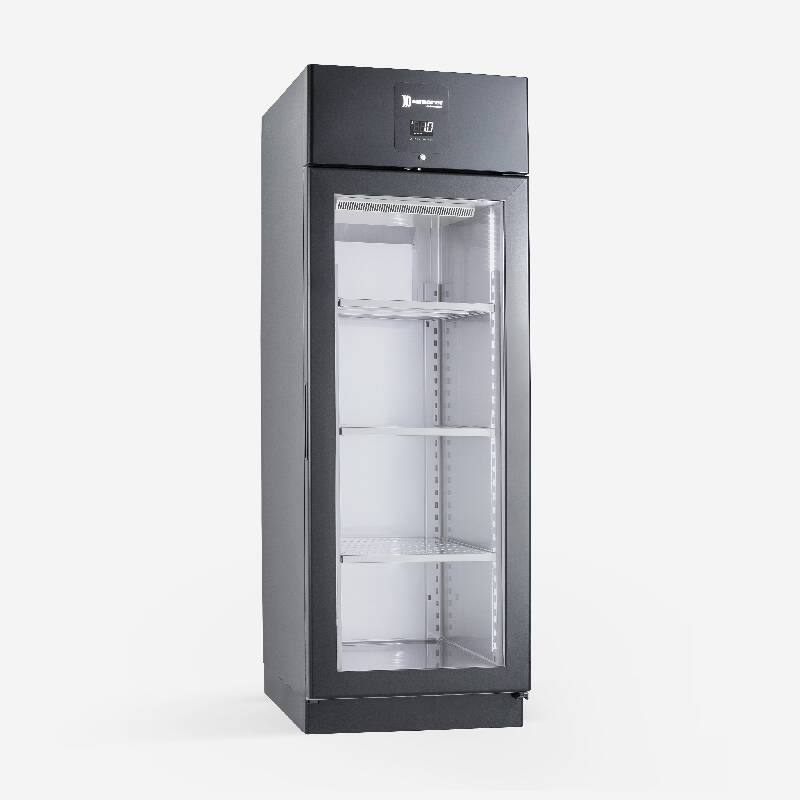 Gekoelde rijpingskast - Samaref - DE 700 P RF PV BK