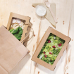 Bo&icirc;tes salade avec fen&ecirc;tre PET Fiesta Recyclable 1200ml (lot de 150)