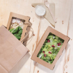 Bo&icirc;tes salade compostables avec fen&ecirc;tre en PLA Fiesta Compostable 1600ml (lot de 200)